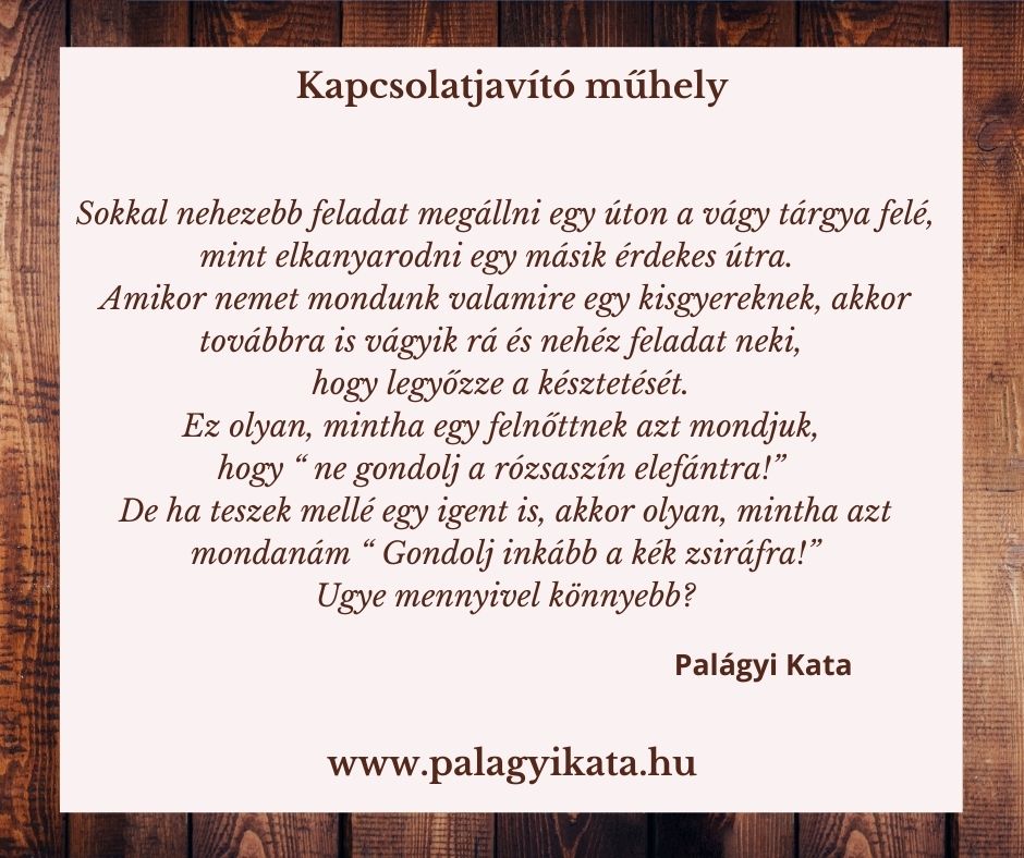 Miért nem fogad szót? Hogyan mondjunk a gyereknek nemet? A gyerek kíváncsisága és felfedezés szükséglete nehezíti a korlátok felállítását.